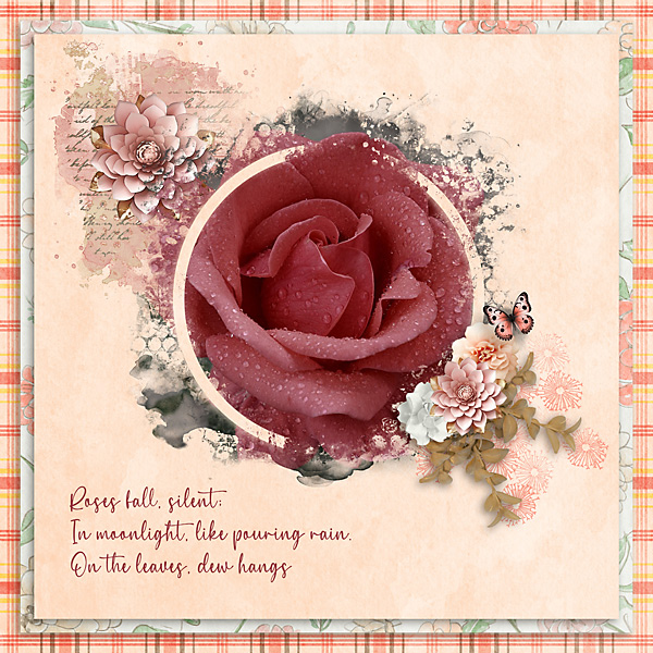 Dew-on-Roses-web.jpg