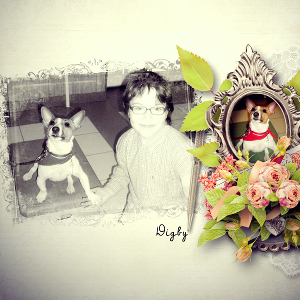 Digby, the MiracleDog