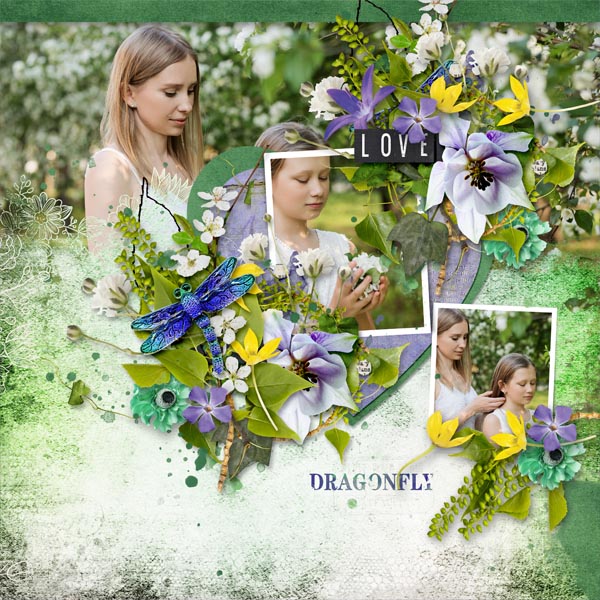 Dragonfly Story