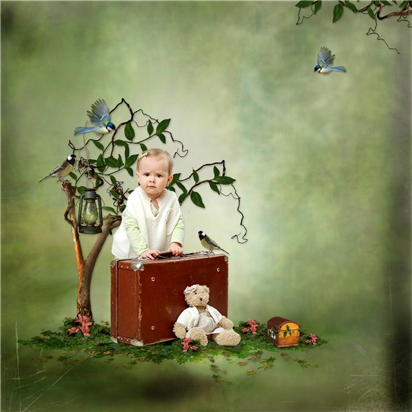 Dreaming In The Old Garden