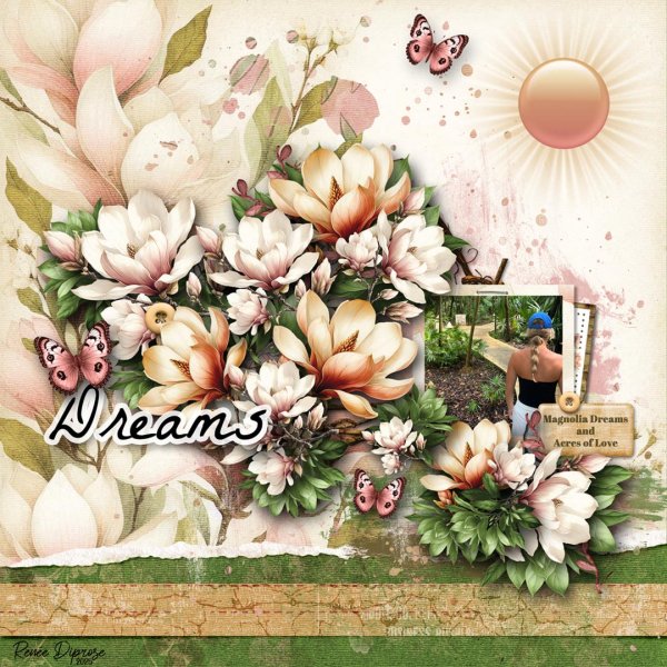Dreams