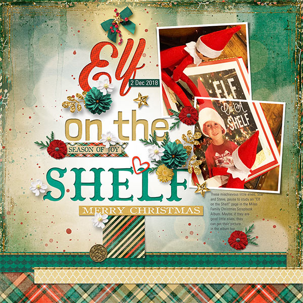 ELF ON THE SHELF