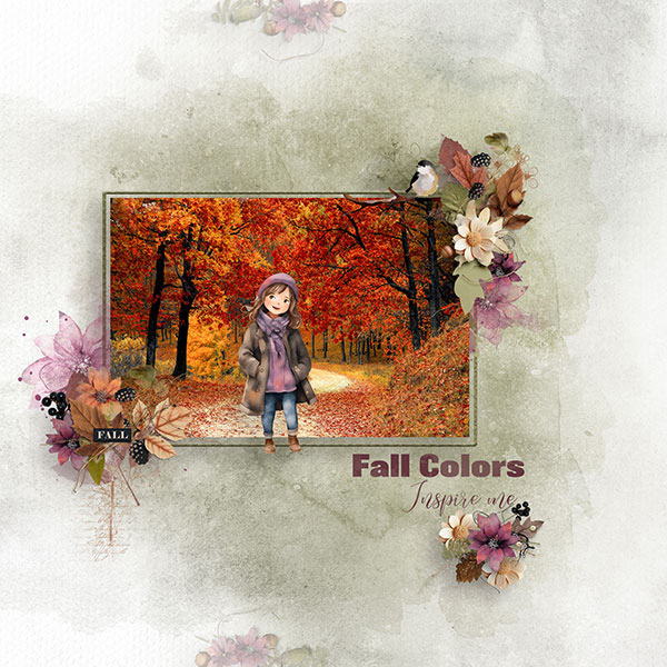 Fall-2-Colors.jpg