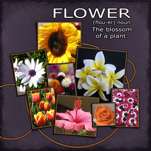 Flowers