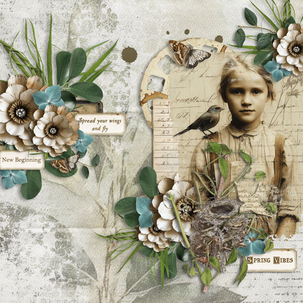 Fly into Spring