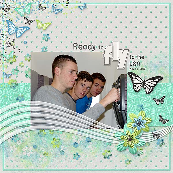 Fly to the US