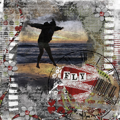Fly