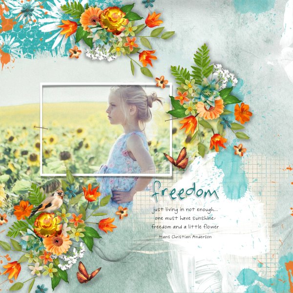 Freedom
