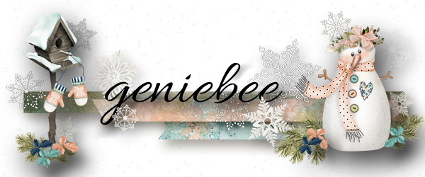 geniebee-siggy-for-web