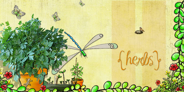 H is for Herbs (6x12)