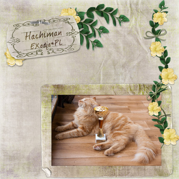 HACHIMAN E'XODJA*PL