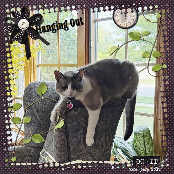 Hanging Out