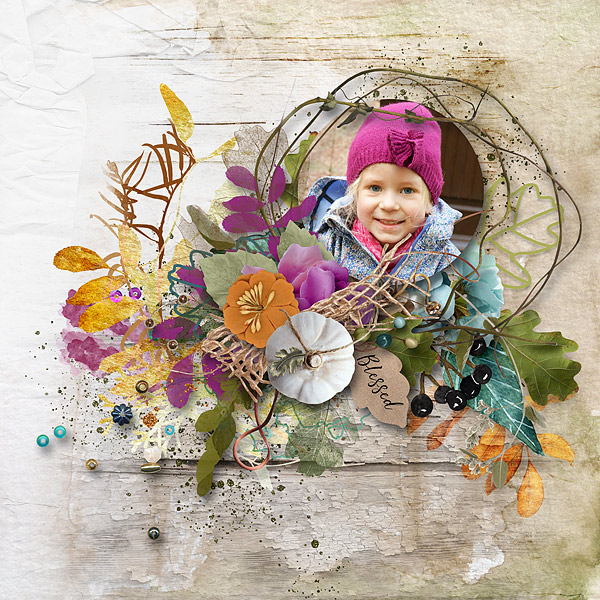 Harvest Blessings