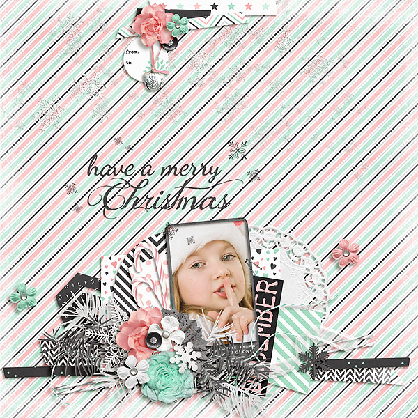 have a Merry Christmas