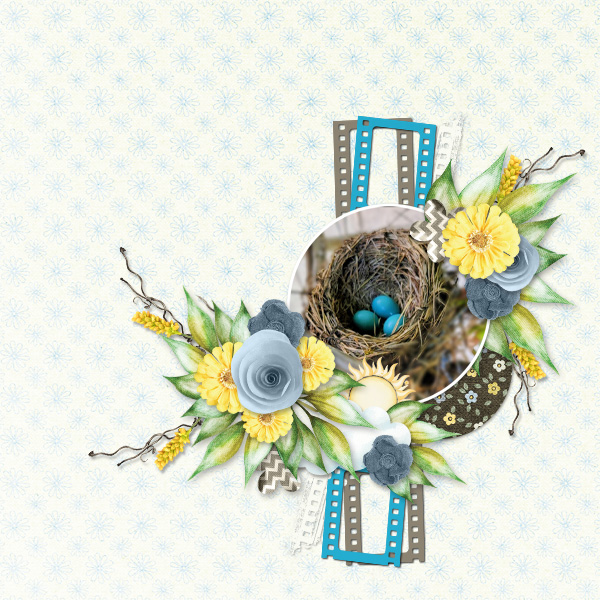 Hay Birdie Birdie 2024