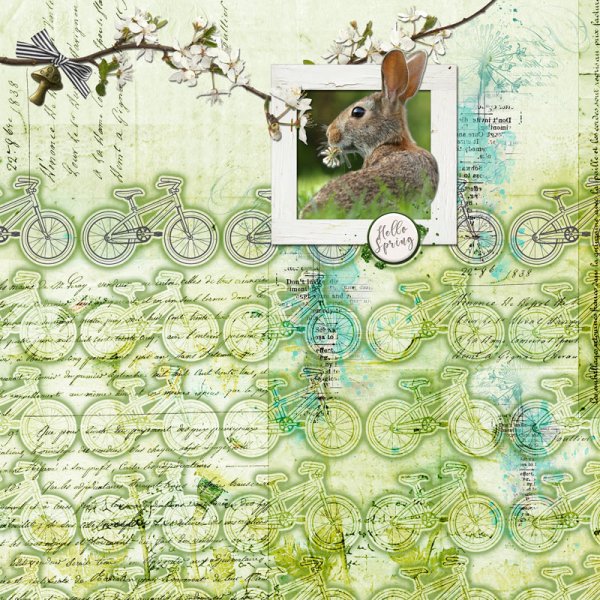 Hello Spring (AOM 4/15)