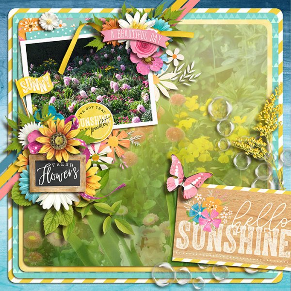 Hello sunshine