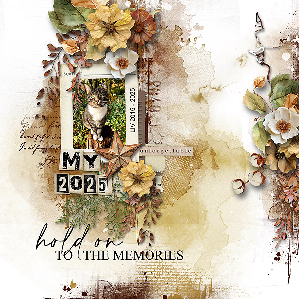 hold on to the memories