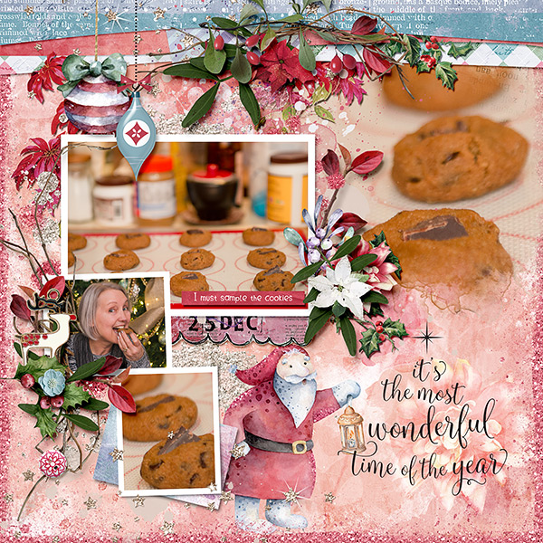 I Must Sample The Cookies