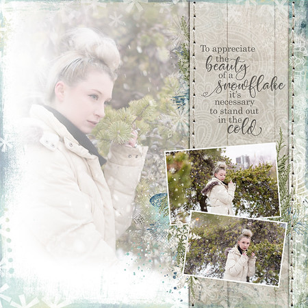 In the Cold