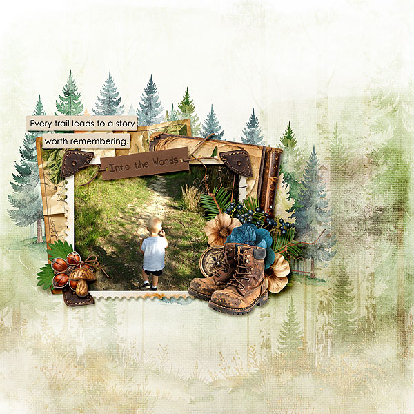 Into the Woods