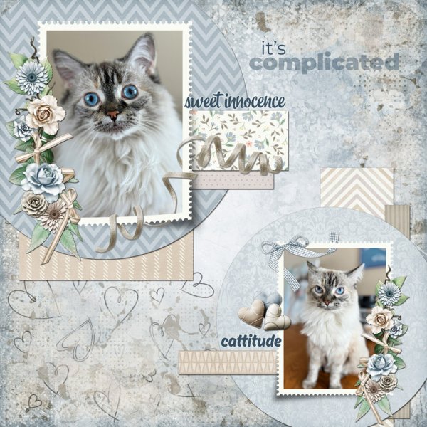 It's Complicated (AOM 4/10)
