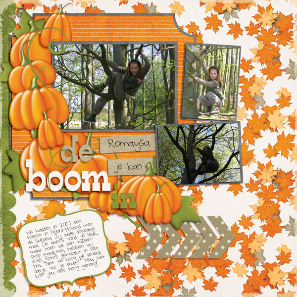 Jen C Designs - Pumpkin Patch &amp; Potpourri