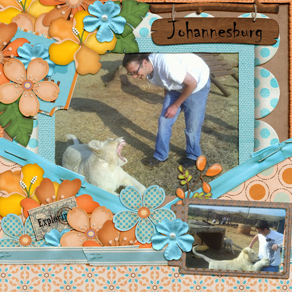 Johannesberg Safari