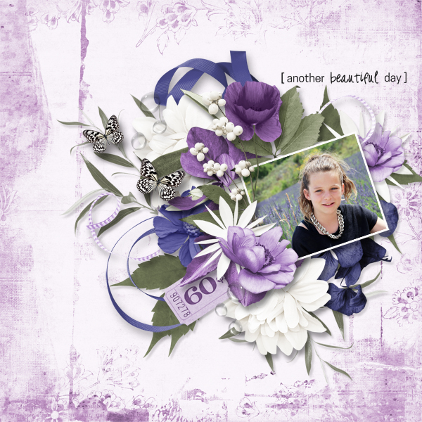 Lavender fields de moosscraps-WA du kit-photo rak Caroline-sortie 3 juin.jpg