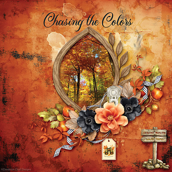 Leaf Peeping
