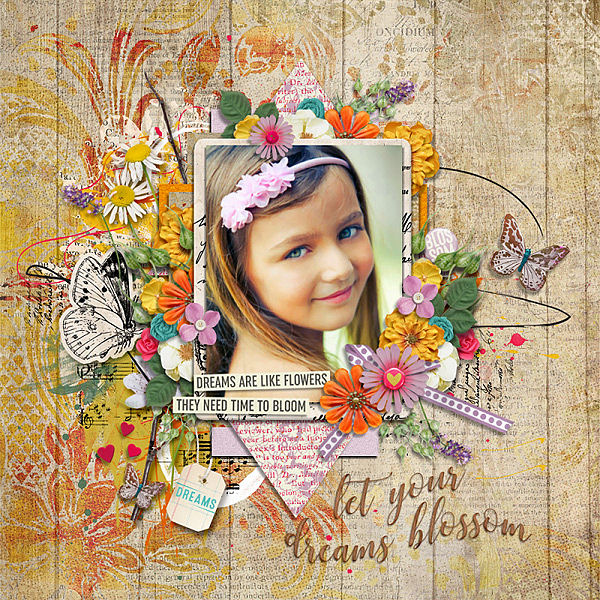 Let Your Dreams Blossom