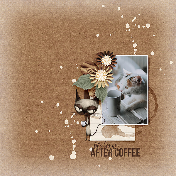 life begins after coffee