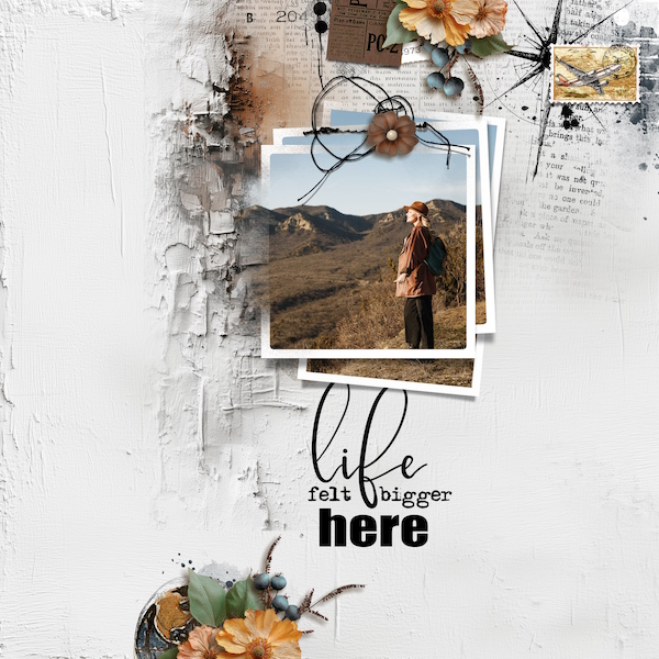 Life felt bigger here