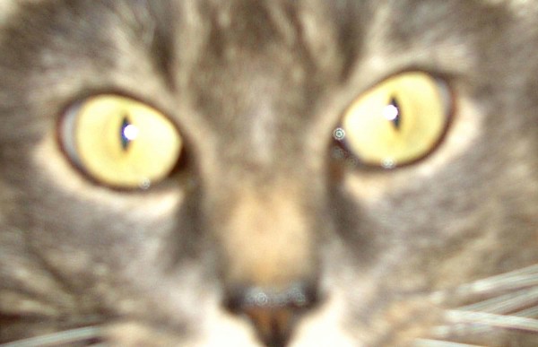 Linus's eyes