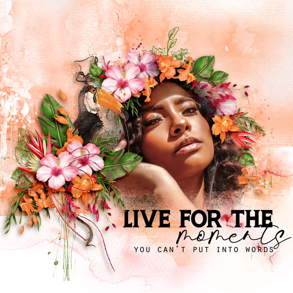 Live For the Moments