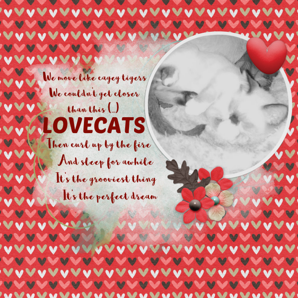 Lovecats.jpg