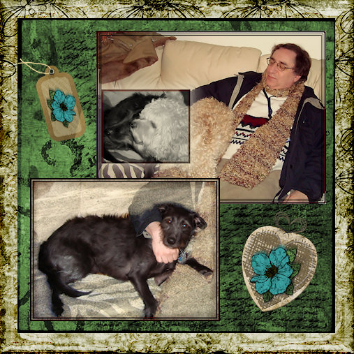 Maggi and Snuggles