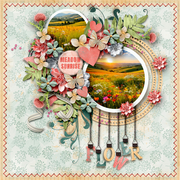 -Meadow-Sunrise-on-the-Flowers
