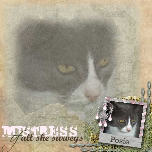 Mistress of all She Surveys