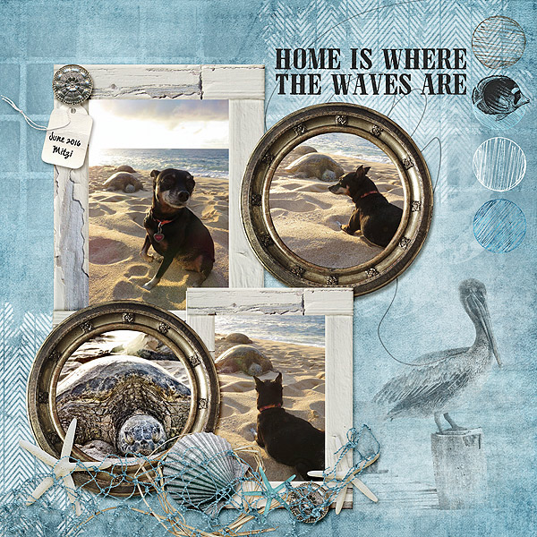 Mitzi and the Sea Turtle