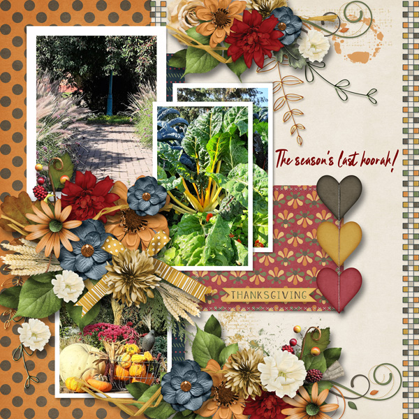 Moments of November