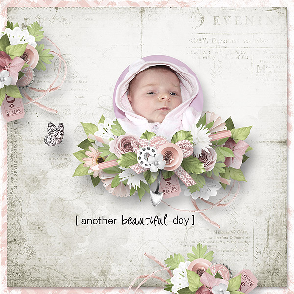 moos_springinspiration