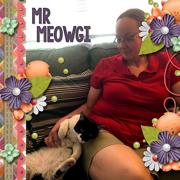 Mr Meowgi