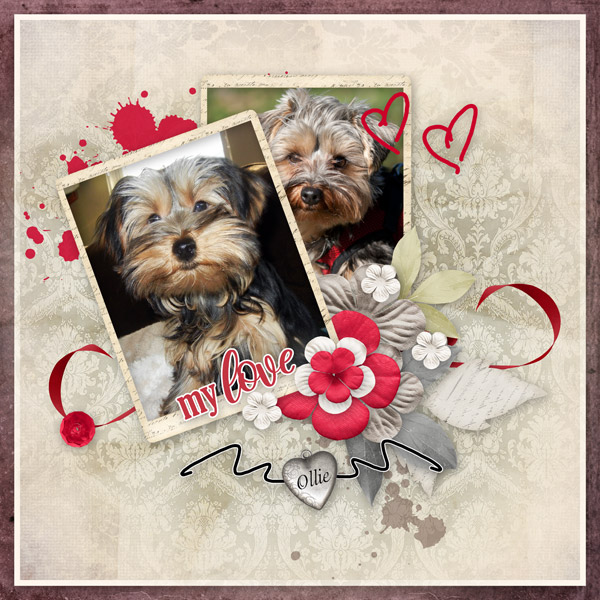 My-Love-Ollie.jpg