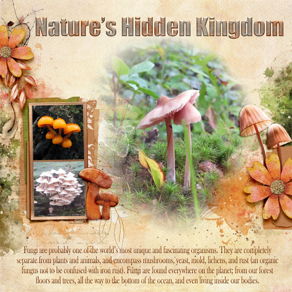 Natures Hidden Kingdom