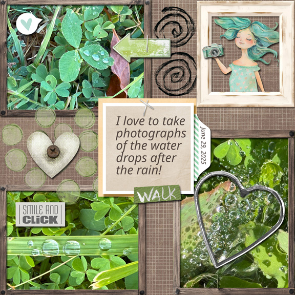 No Flowers 8x8 72.jpg