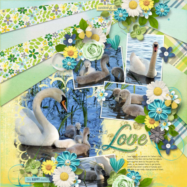 NSD FWP - Daisy Love