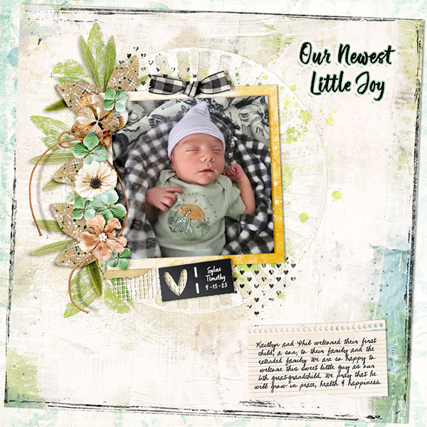 Our Newest Little Joy