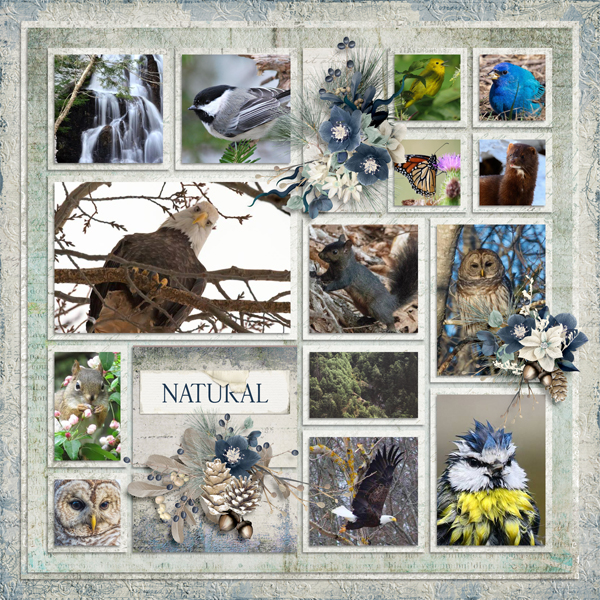 PBP August Technique Challenge.jpg