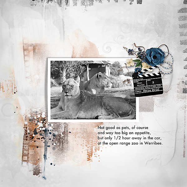 PBP-Sep-2021-Photography-Challenge.jpg